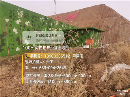 延安星空迷彩墙施工队