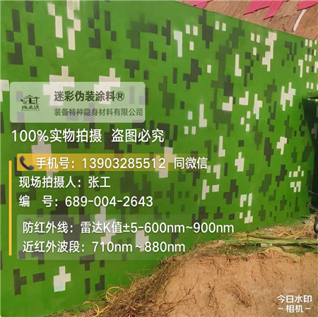 延安星空迷彩漆，夏令营训练,数码迷彩作训墙,围墙